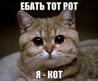 ЕБАТЬ ТОТ РОТ Я - КОТ