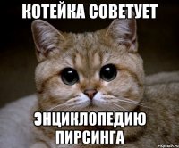 Котейка советует Энциклопедию Пирсинга