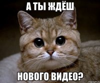 А ты ждёш Нового видео?