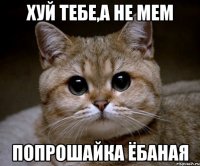 Хуй тебе,а не мем Попрошайка ёбаная