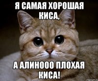 я самая хорошая киса, А Алинооо плохая киса!