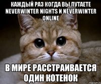 каждый раз когда вы путаете Neverwinter Nights и Neverwinter Online В мире расстраивается один котенок