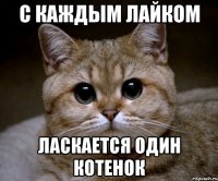 С каждым лайком Ласкается один котенок