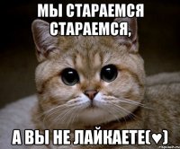 Мы стараемся стараемся, а вы не лайкаете(♥)