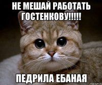 Не мешай работать Гостенкову!!!!! ПЕДРИЛА ЕБАНАЯ