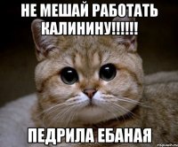 Не мешай работать Калинину!!!!!! ПЕДРИЛА ЕБАНАЯ