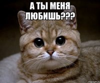 А ты меня любишь??? 