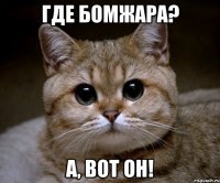 где бомжара? а, вот он!