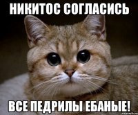 никитос согласись все педрилы ебаные!