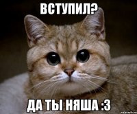 Вступил? Да ты няша :3