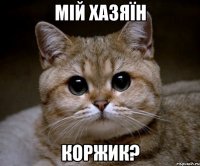 Мій хазяїн КОРЖИК?