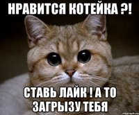 Нравится котейка ?! Ставь лайк ! А то загрызу тебя