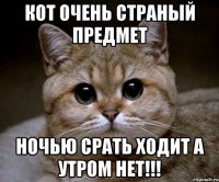 кот очень страный предмет ночью срать ходит а утром нет!!!