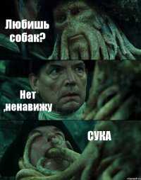 Любишь собак? Нет ,ненавижу СУКА