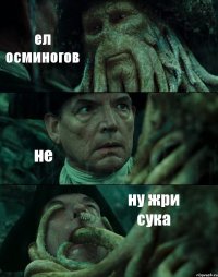 ел осминогов не ну жри сука