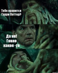 Тебе нравится Гарри Поттер? Да не! Говно какое -то 