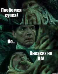 Поебемся сучка! Но... Никаких но ДА!