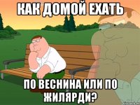 как домой ехать по веснина или по жилярди?