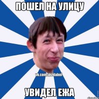 Пошел на улицу Увидел ежа