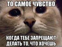 ТО САМОЕ ЧУВСТВО КОГДА ТЕБЕ ЗАПРЕЩАЮТ ДЕЛАТЬ ТО, ЧТО ХОЧЕШЬ