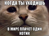 Когда ты уходишь В мире плачет один котик