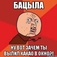 БАЦЫЛА Ну вот зачем ты вылил какао в окно?!