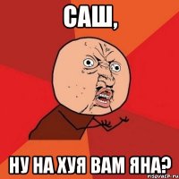 Саш, Ну на хуя вам Яна?