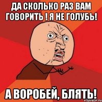 ДА СКОЛЬКО РАЗ ВАМ ГОВОРИТЬ ! Я НЕ ГОЛУБЬ! А ВОРОБЕЙ, БЛЯТЬ!