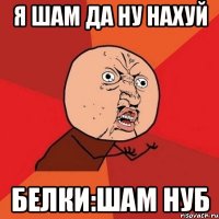 Я шам да ну нахуй Белки:Шам нуб