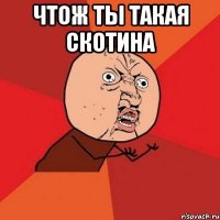 чтож ты такая скотина 