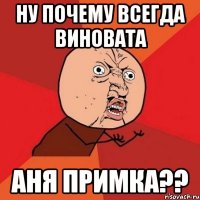 НУ ПОЧЕМУ ВСЕГДА ВИНОВАТА АНЯ ПРИМКА??