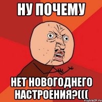 ну почему нет новогоднего настроения?(((