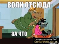 воли отсюда за что