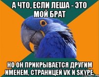 А что, если Леша - это мой брат Но он прикрывается другим именем, страницей VK и SKYPE.