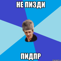 не пизди пидпр