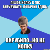 пішов йолку в ліс вирубувати..побачив Едіка. вирубило...но не йолку