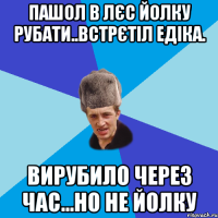 пашол в лєс йолку рубати..встрєтіл Едіка. вирубило через час...но не йолку