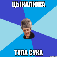 цыкалюка тупа сука