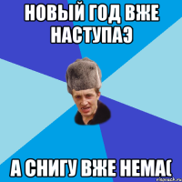 новый год вже наступаэ а снигу вже нема(