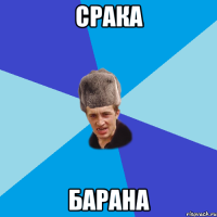 Срака Барана