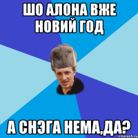 Шо Алона вже новий год а снэга нема,да?