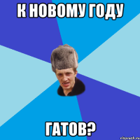 к новому году гатов?