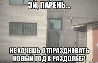  не хочешь отпраздновать новый год в Раздолье?