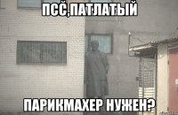 псс патлатый парикмахер нужен?