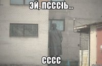 пссс сссс