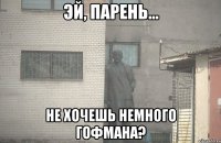  Не хочешь немного Гофмана?