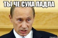 Ты че сука падла 