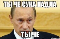 Ты че сука падла ты че