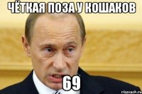 чёткая поза у кошаков 69