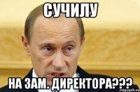 сучилу на зам. директора???